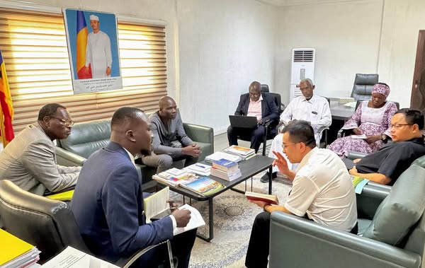 Chinese solar energy giants explore major investment in chad pmid push for industrial growth