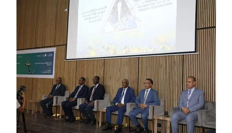 Mauritania hosts regional summit to tackle growing desert locust threat
