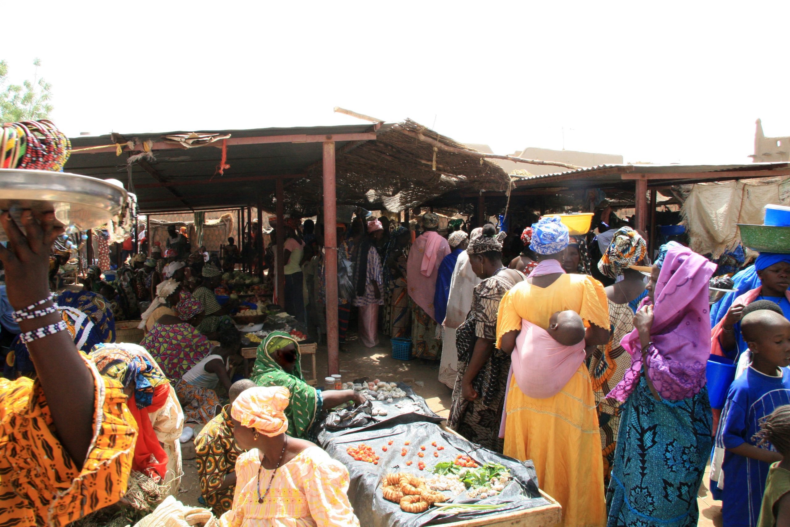 State and private sector join forces to unlock Mali’s economic potential