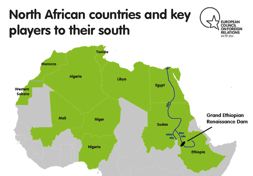 North Africa in focus: diplomacy, economic shifts and social pressures
