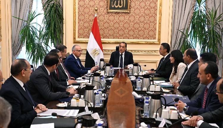 Egypt: minister of irrigation pushes for strategic overhaul of water pumping stations