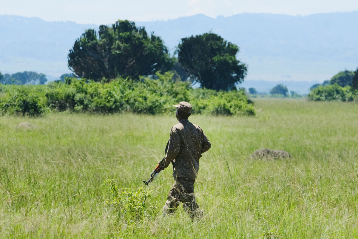 Guinea imposes temporary logging ban to safeguard forest reserves