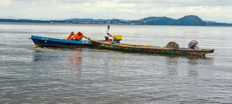 Artisanal fishing dominated by foreign nationals sparks nationalisation debate in Gabon