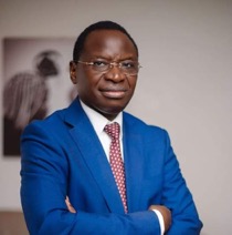 Senegal’s industry minister unveils bold recovery blueprint amid debt crisis