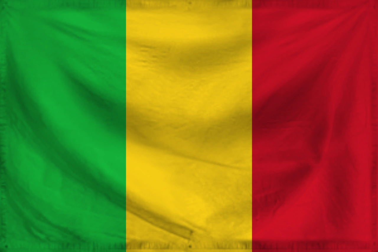 Mali faces growing outrage as activist El Bachir Thiam remains missing two months after arrest