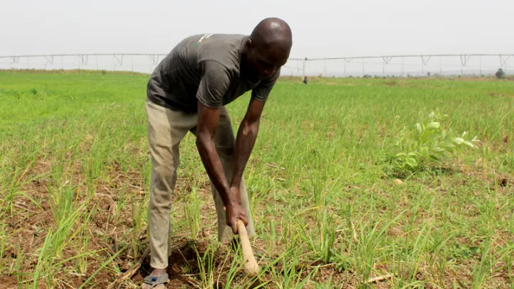 Kwango begins rehabilitation of Katoy–Kolokoso road to boost agricultural trade