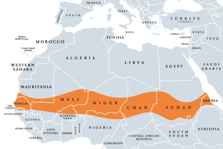 Sahel: Advocacy group defends Mali, Burkina Faso and Niger leaders against ‘dictator’ accusations