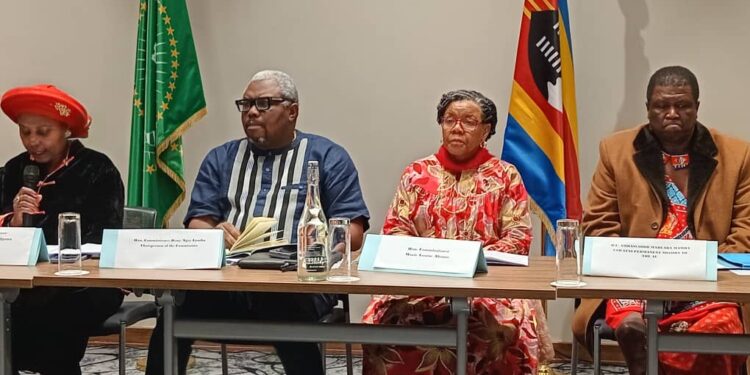 African human rights delegation concludes landmark mission to Eswatini