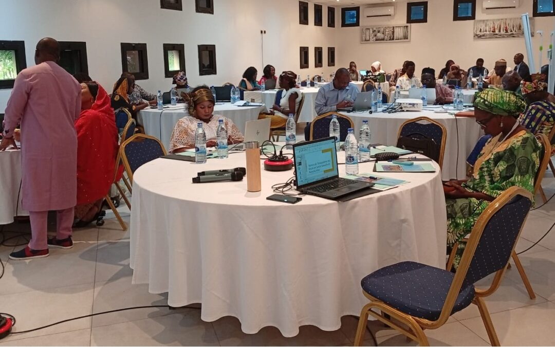 Chad convenes national workshop to strengthen reproductive health ecosystem