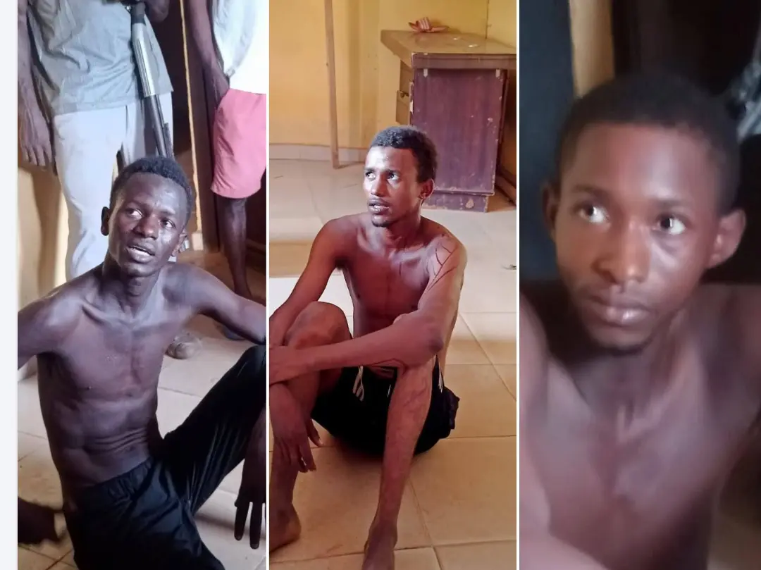 Benin: notorious gang leader arrested in kilibo after months on the run