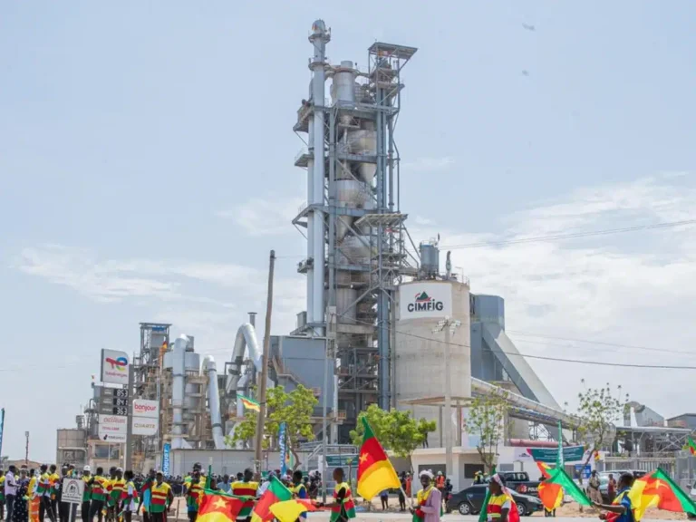 Cameroon welcomes first Egyptian-built wood factory in $14 million investment boost