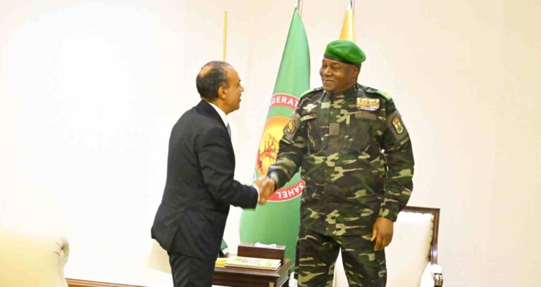 Niger and Egypt deepen diplomatic ties as president tiani receives envoy from president Al-Sisi