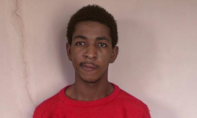 Man sentenced to 19 years for machete robbery of pregnant woman