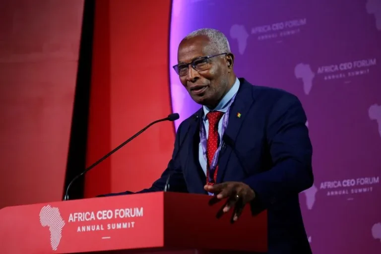 Guinea ministers abandon offices for referendum campaign amid constitutional debate