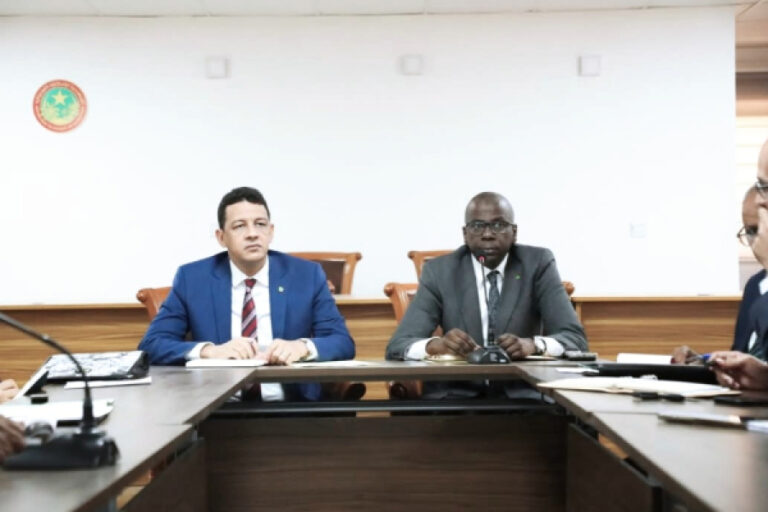 Mauritania launches digital registry to regulate journalism sector