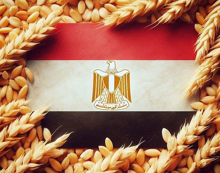 Egypt imports of durable consumer goods fall by $110 million in early 2025