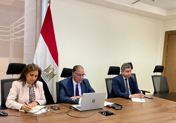 Egypt steps up preparations for sixth expatriates conference amid growing diaspora engagement