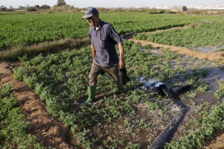 Morocco turns to large-scale desalination to sustain agriculture in Souss-Massa