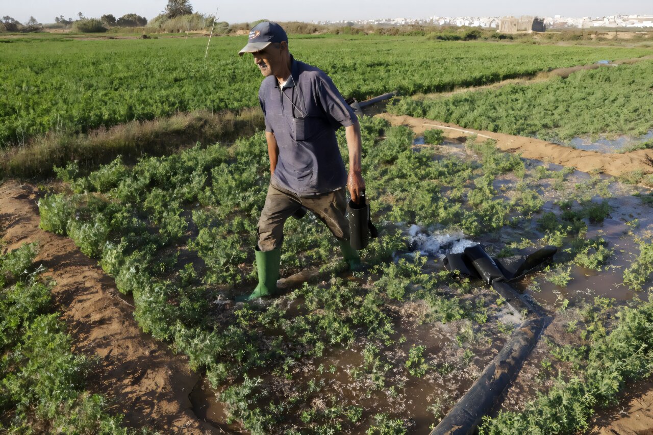 Morocco turns to large-scale desalination to sustain agriculture in Souss-Massa