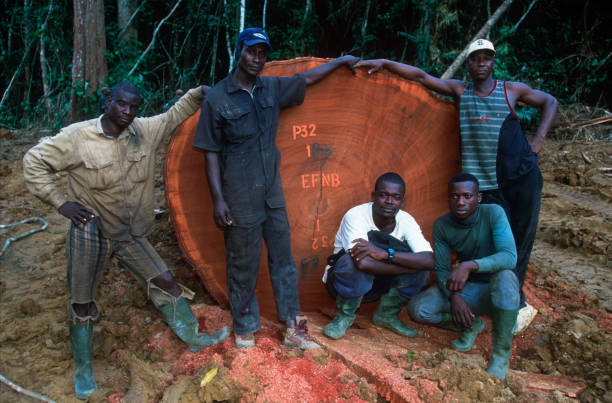Gabon: Ivindo Iron outlines community development plan in Makokou