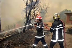 Algeria: Civil Protection confirms 47 forest fires extinguished across 14 states