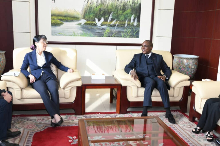 Cameroon: China celebrates 50 years of medical partnership witCameroon: China celebrates 50 years of medical partnership with free clinics and heartfelt gratitudeh free clinics and heartfelt gratitude