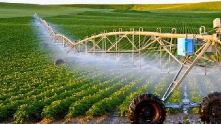 Algeria’s desert farming model captivates African nations at UN food summit