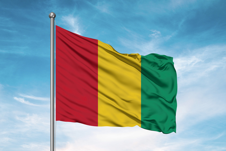 Guinea in the grip of fear as kidnappings and torture silence dissent