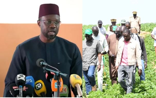 Senegal: ousmane sonko launches 1000 agricultural volunteers program to boost youth engagement