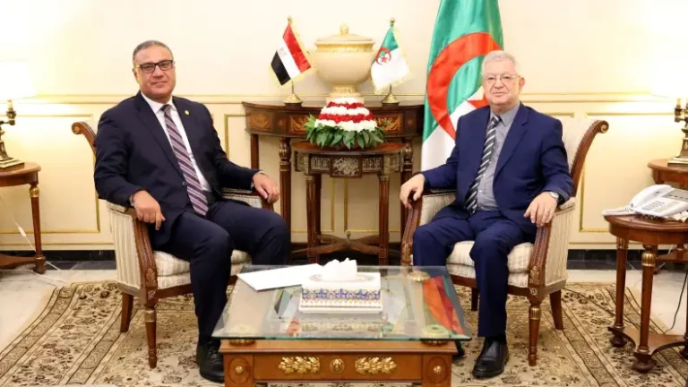 Algeria and Egypt reaffirm unified stance on Palestine in farewell meeting