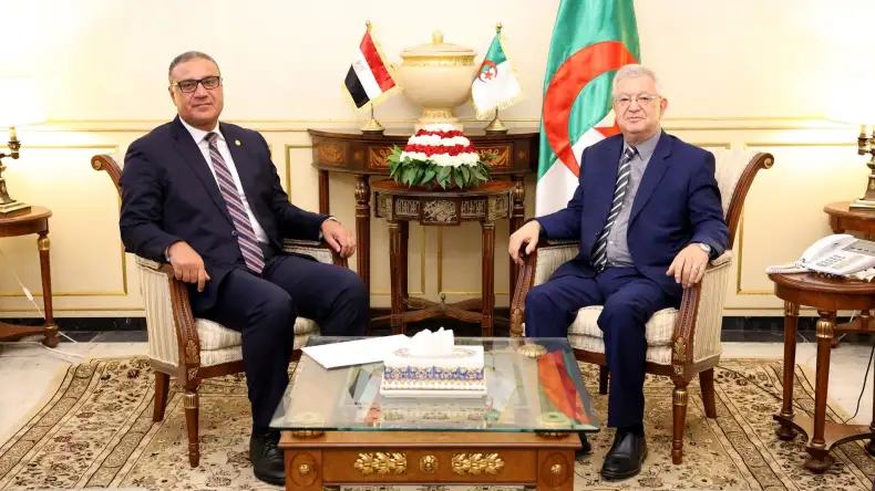 Algeria and Egypt reaffirm unified stance on Palestine in farewell meeting