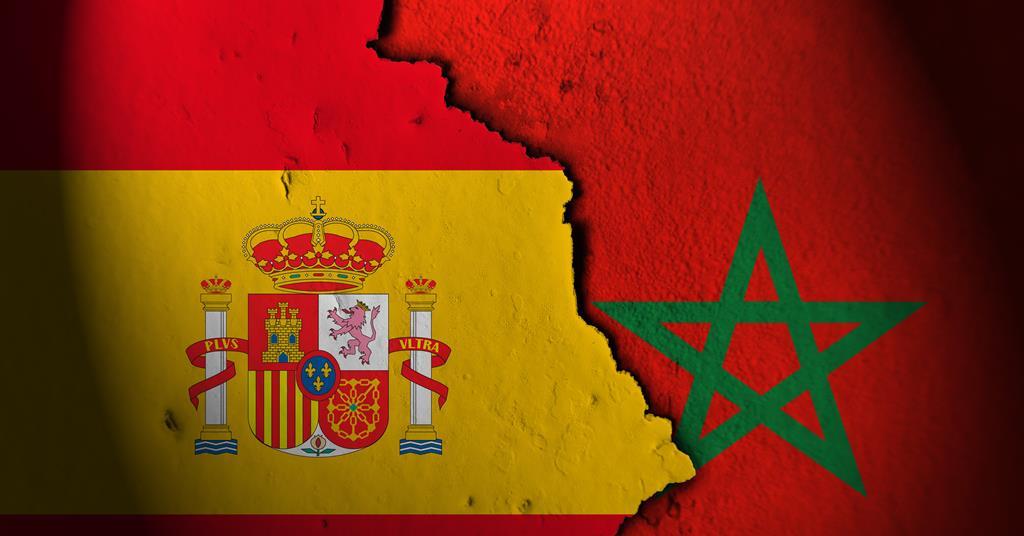 Morocco ranks eighth in spanish beef imports with over 3,700 tons in 2024