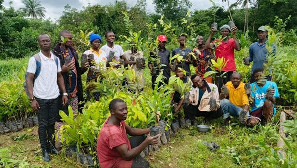 liberia: Cane rat farming training empowers rural communities in Grand Gedeh