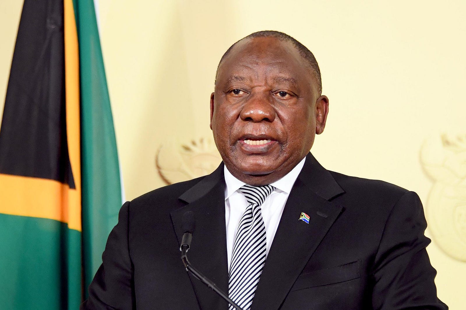 South Africa marks august 10 with echoes of royal legacy, cultural heritage, and lion conservation