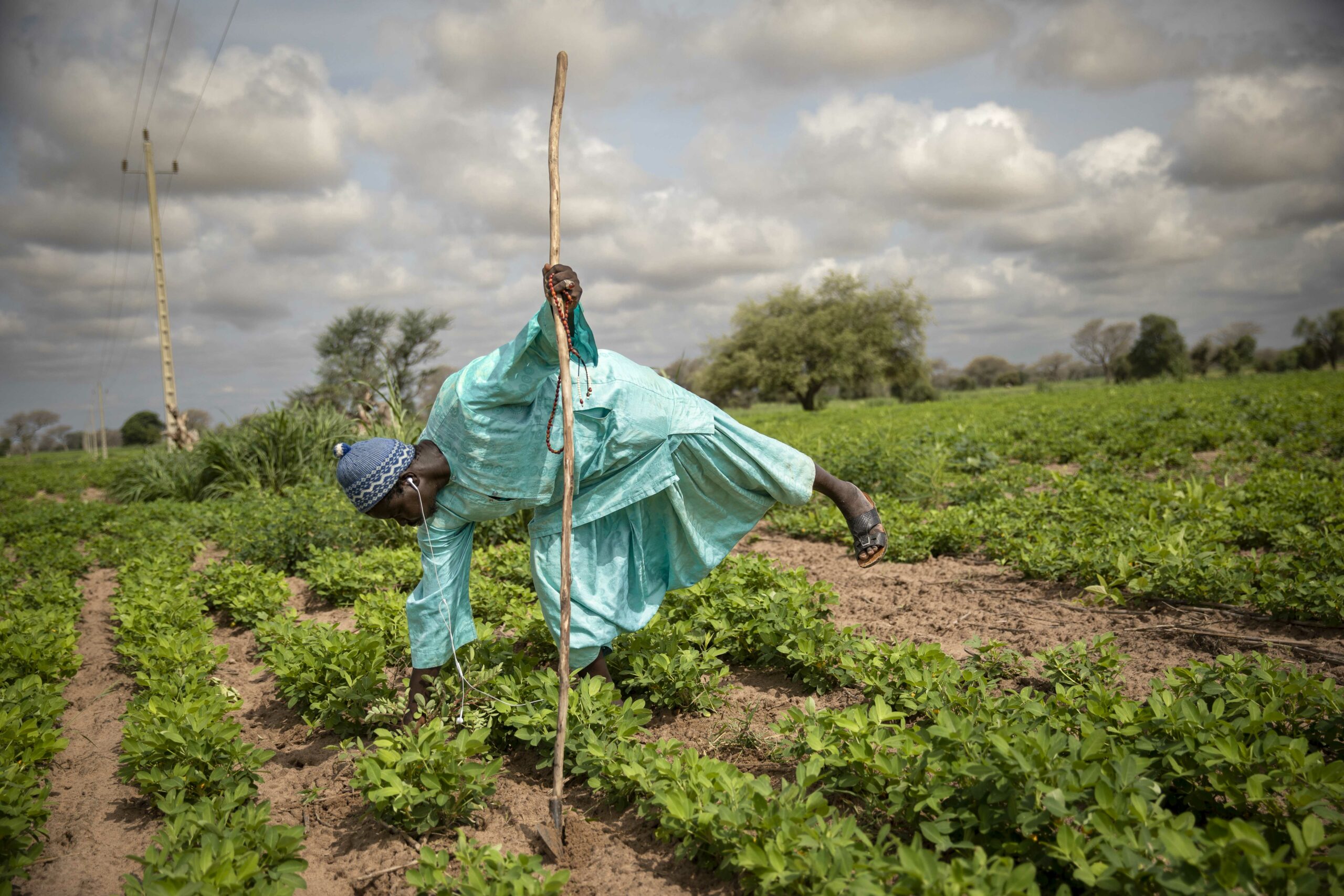 Senegal hosts regional workshop to harmonize agroecology monitoring in West and Central Africa