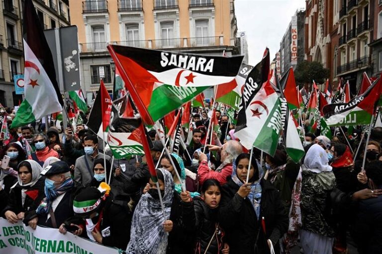 Western Sahara sees growing international support for Morocco