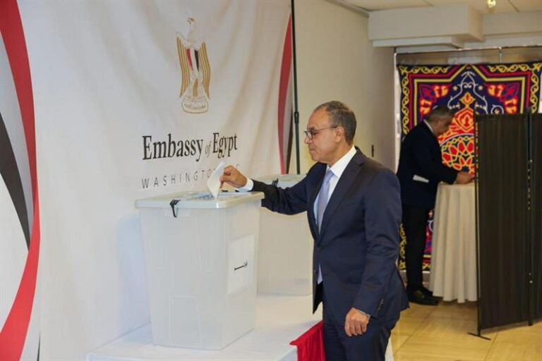 Egypt oversees smooth start to 2025 senate elections with international observers present