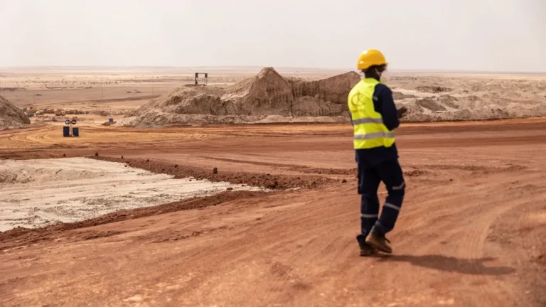 Niger: government moves to nationalize liptako mining company amid economic sovereignty push