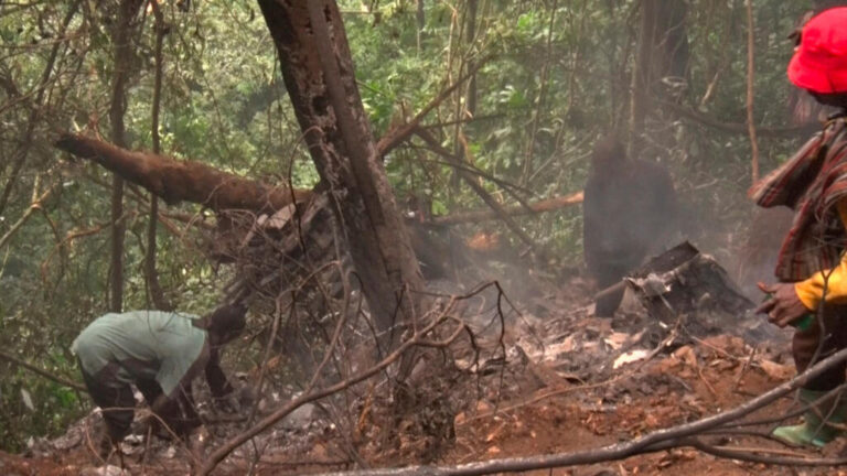 Ghana: three days of mourning declared after helicopter crash kills eight