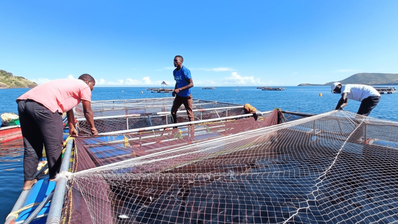 Ivory Coast: urgent push to reduce 800,000 tonnes of fish imports through blue economy plan