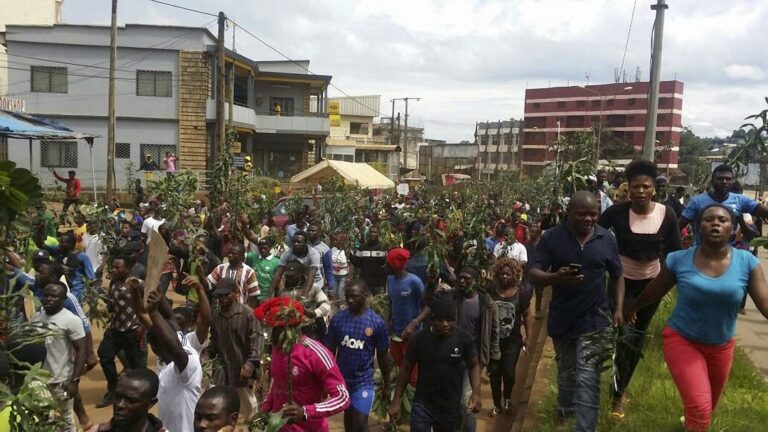 Cameroon Falsified documents scandal sparks fears over national credibility and youth future