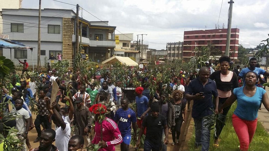 Cameroon Falsified documents scandal sparks fears over national credibility and youth future