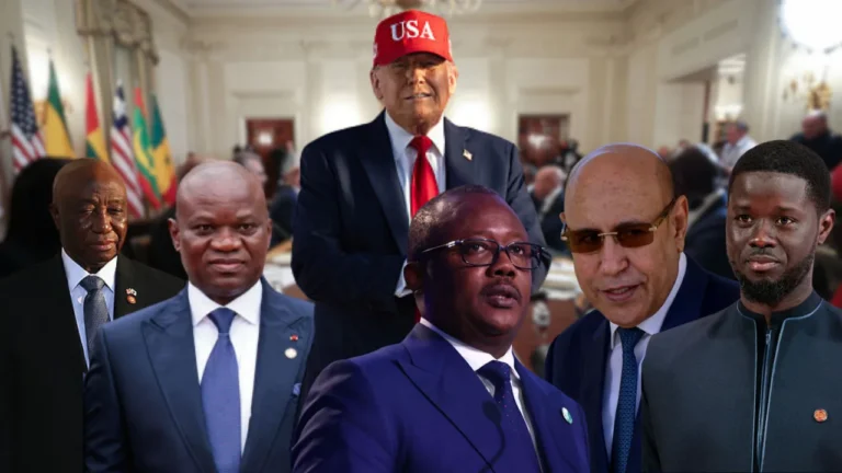 Africa and Latin America explore deeper economic cooperation in New York
