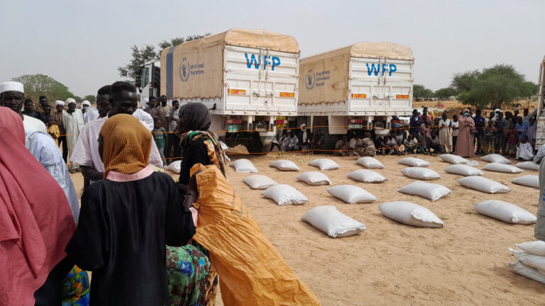 Chad launches subsidized food programme to support vulnerable families in N'Djamena