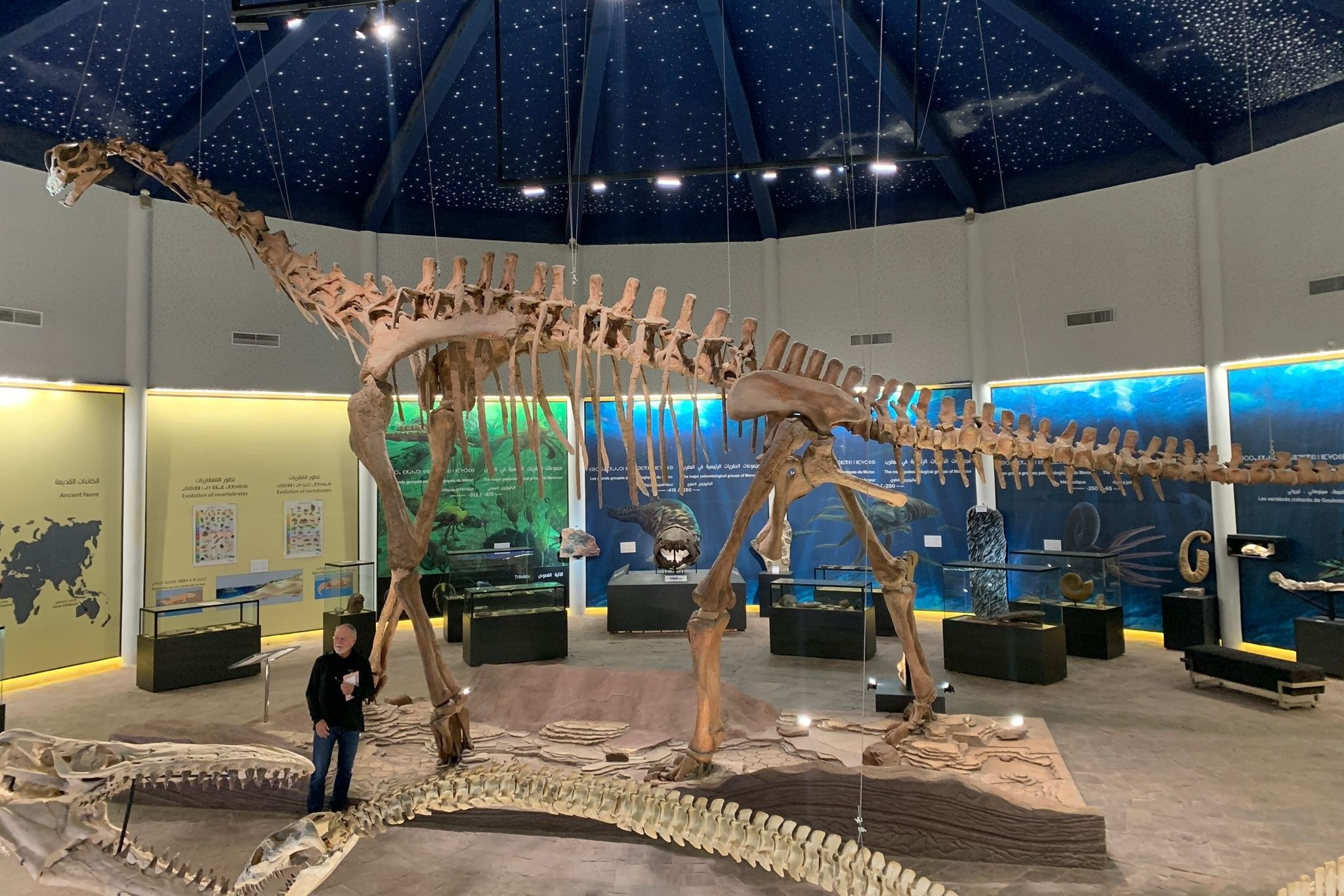 Morocco: window on the Jurassic opens with discovery of giant dinosaur fossils