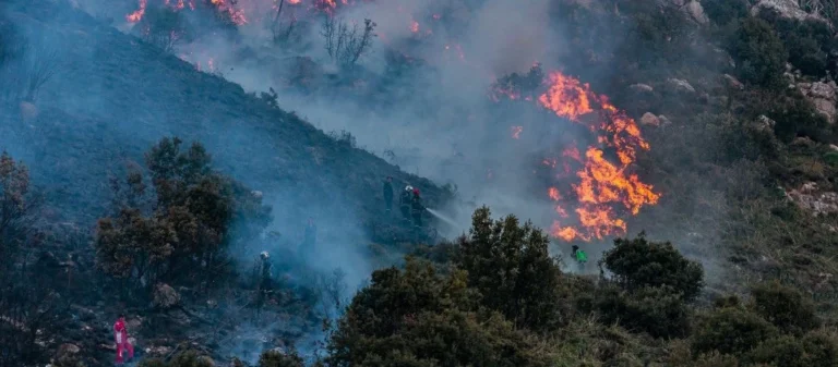 Algeria imposes life sentences to combat surge in forest fires