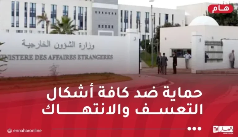 Algeria condemns french visa-linked deportation policy, vows to protect citizens in France