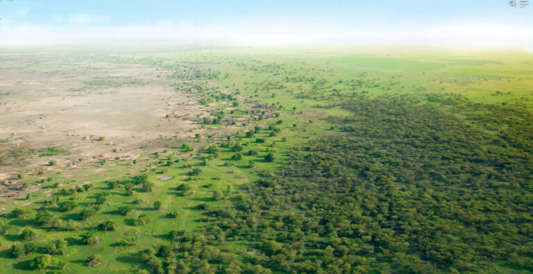 Mali advances Great Green Wall efforts with focus on land restoration and sustainability