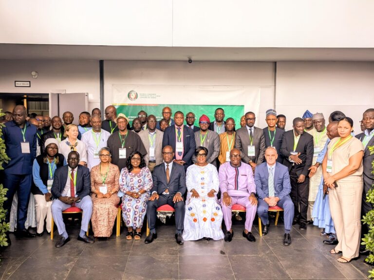 West Africa: resilience, reforms and rising demands shape regional landscape