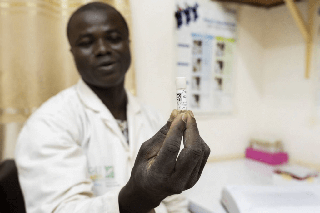 Burkina Faso halts controversial Target Malaria project amid safety concerns